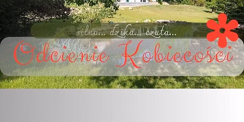 Odcienie Kobieco\u015bci