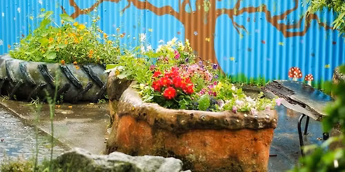 Linwood Playcentre's Garden Party: Looking back and growing forward