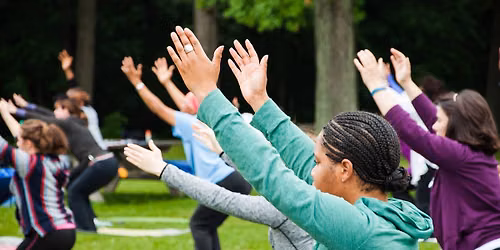 Palmer Park Chair Yoga with Yoganic Flow