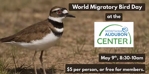 World Migratory Bird Day! -Morning Bird Stroll (Roots & Renewal)