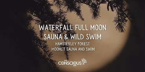 Full Moon Sauna & Moonlight Swim - Hamsterley Forest