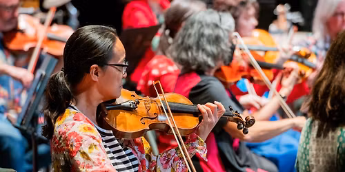 Opus Pocket Orchestra - Free Library Concert for Tamariki