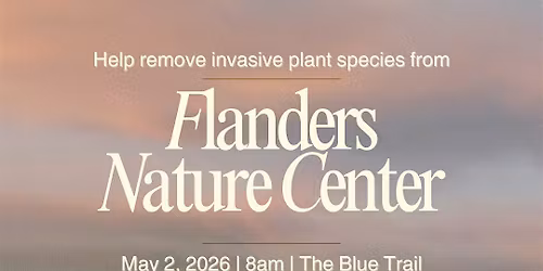 Invasive Plant Removal