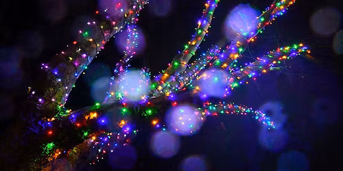 'Lights in the Mead' - 21 November 2025 until 6 January 2026