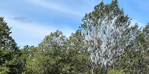 Familjeridl\u00e4ger 