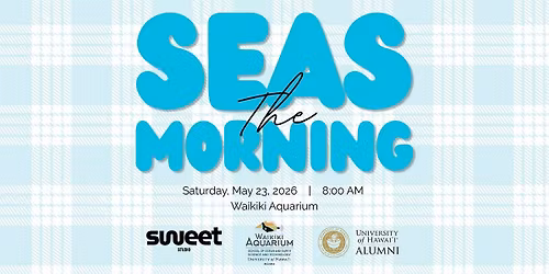 Seas the Morning