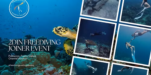 Freediving Puerto Galera 2d1n Event 