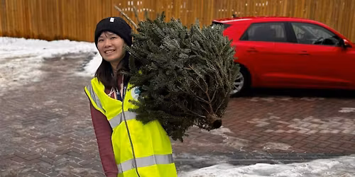 Sue Ryder Christmas Treecycling Leeds
