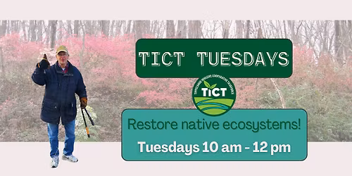 TICT Tuesdays - Restore native ecosystems!