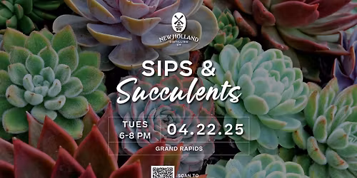 Sips & Succulents Cocktail Class
