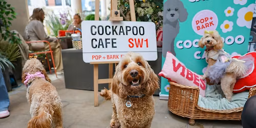 COCKAPOO CAFE - MANCHESTER