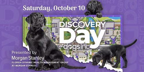 Discovery Day