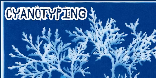 Make a Cyanotype!