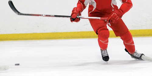 Hartford Wolf Pack at Charlotte Checkers