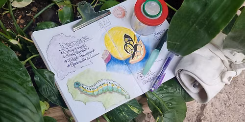 Nature Journaling f\u00fcr Schattenkinder