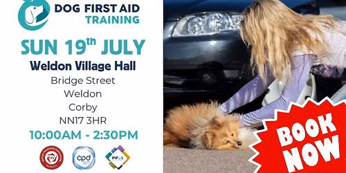 Weldon - Corby Dog First Aid Training \ud83d\udc3e\u2764\ufe0f\u200d\ud83e\ude79