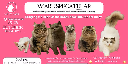 Fancy Cats Ware Hertfordshire SpeCATular