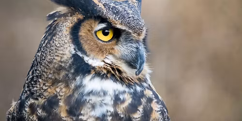 Field Trip: Forest Hill Cemetery