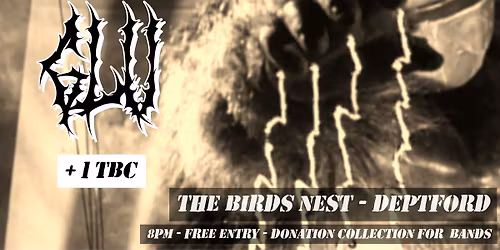 FORDS FUZZ INFERNO (Netherlands), GLU, ..........