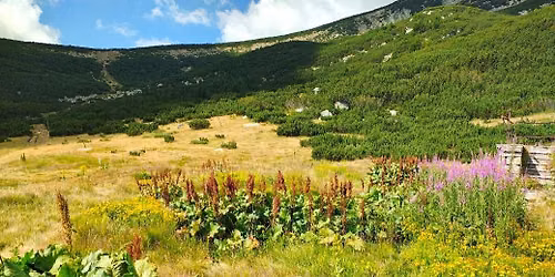 23rd EDGG Field Workshop in the Pirin Mountains
