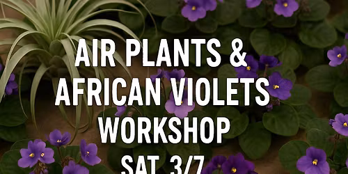 Air Plants & African Violets Workshop @ Smucker Gardens