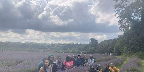 BWOW - South London - Mayfield Lavender Farm