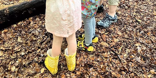Bug hunting with our rangers