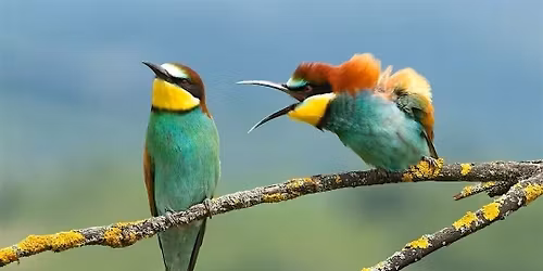 From Drama to Empowerment in the Workplace