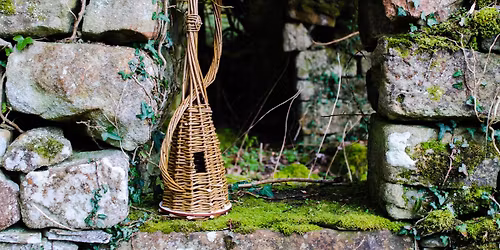 Willow workshop.Make your own bird house \/ Fairy house