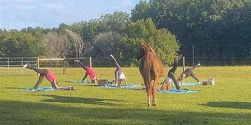 Horse Yoga at Leatherman Lane