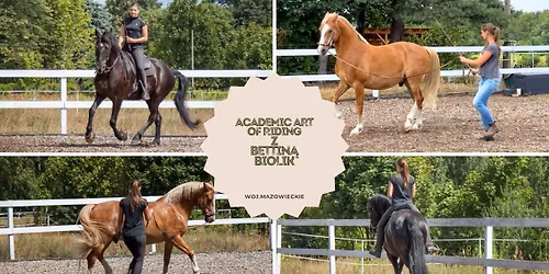Klasyczne uje\u017cd\u017cenie i dosiad wg Academic Art of Riding