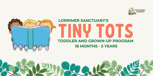 Tiny Tots - Winter Series