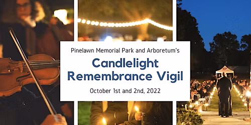 Parking Black Violin - Saint Louis