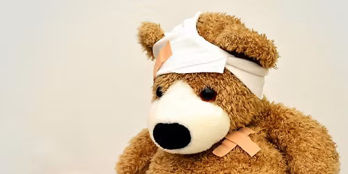 Teddy Bear Hospital: Community Day