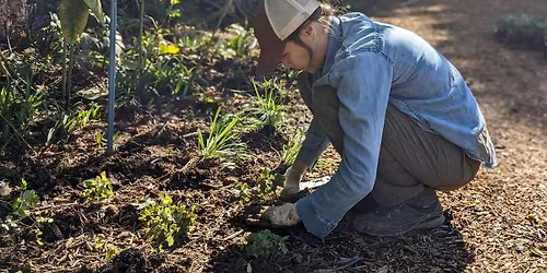 Habitat Advocate: Native Garden Design\/Build\/Steward Workshop