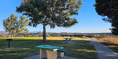 Tree Treks at Martin Luther King Jr. Community Park (MLK Park)