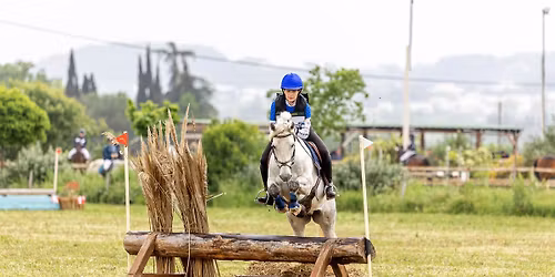 Cce club poney amat4 ( duc tardive