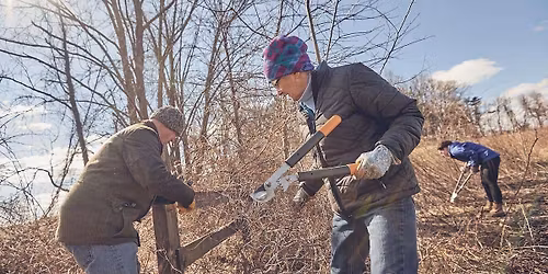 Volunteer – Nurture Nature