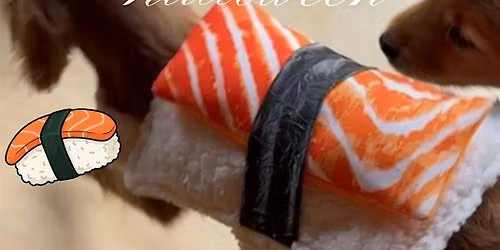 HALLOWEEN THEMED PUPPY YOGA