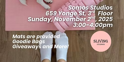 Puppy Pilates in Yorkville by Sliving Pilates