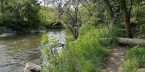 Ravine Stewardship Event