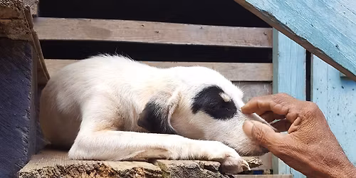 Movie Premier Fundraiser for A360