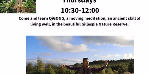 QIGONG SESSIONS  - MINDFULNESS