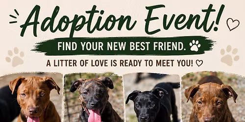 Murray County Humane Society Adoption Event