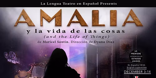 Amalia y la vida de las cosas [and The Life of Things] by Maricel Santin