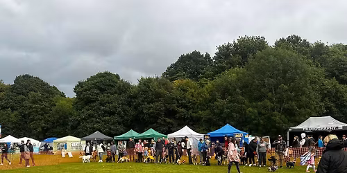 Pooches in the Park