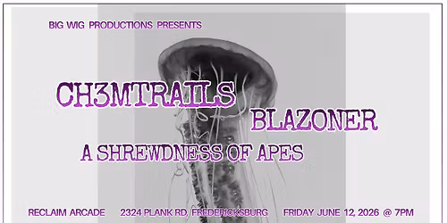 CH3MTRAILs \/ Blazoner \/ A Shrewdness Of Apes @ Reclaim Arcade