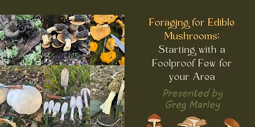 Foraging for Edible Mushrooms; Starting with a Foolproof Few for your Area
