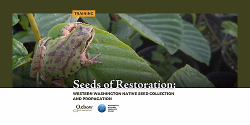 Seeds of Restoration: Western WA Native Seed Collection and Propagation