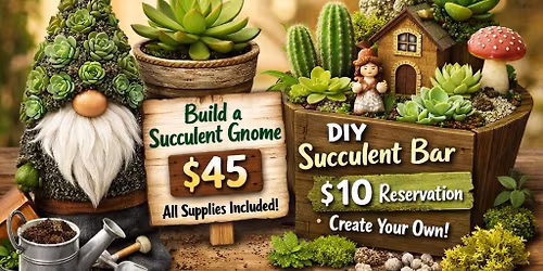 Succulent Gnome + Bar 